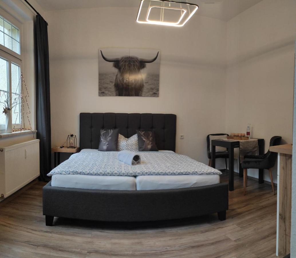 Pension Haus Zedtwitz Бад Елстер Екстериор снимка