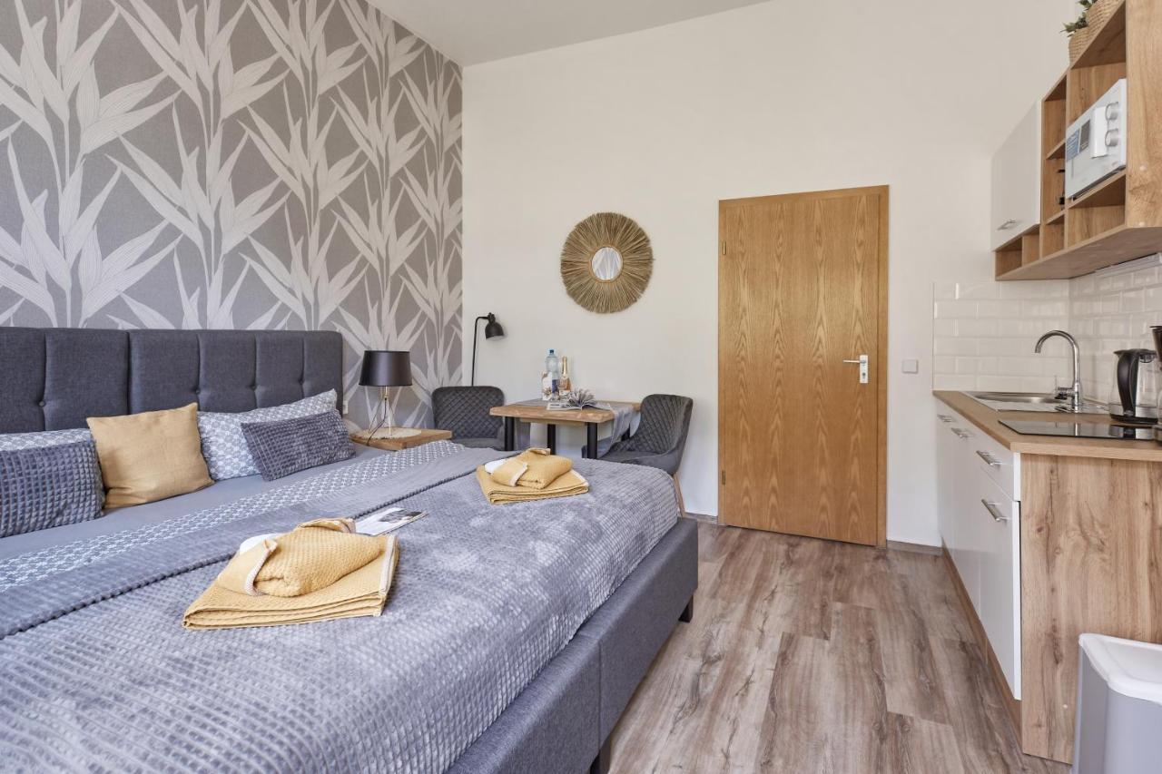 Pension Haus Zedtwitz Бад Елстер Екстериор снимка