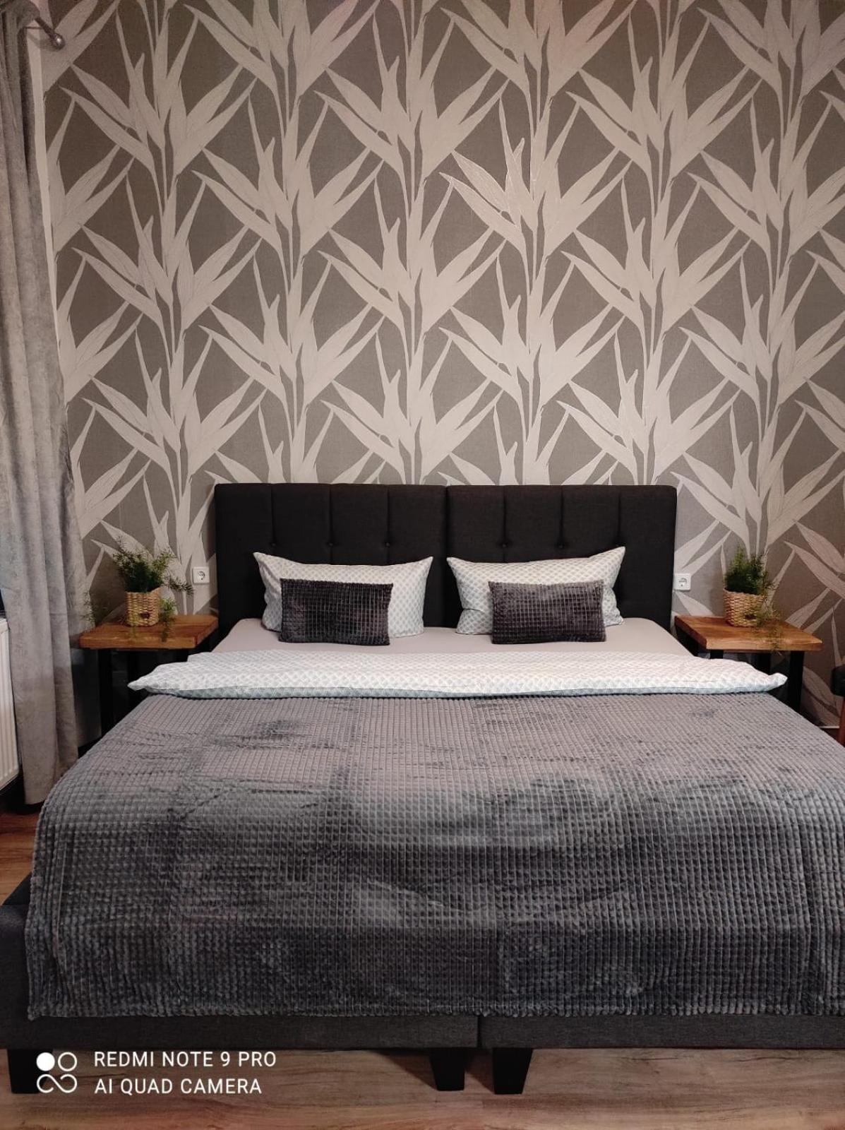 Pension Haus Zedtwitz Бад Елстер Екстериор снимка