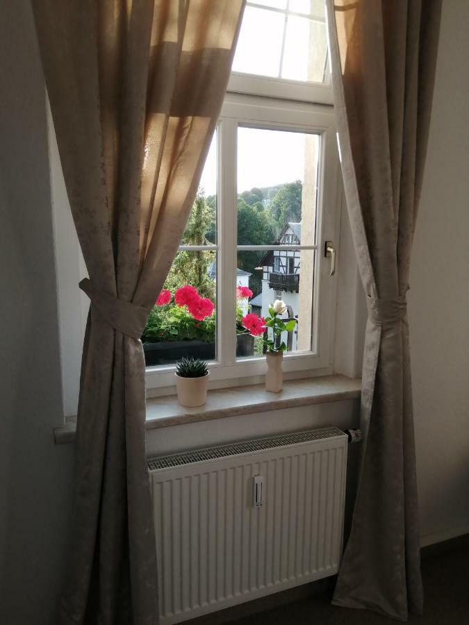 Pension Haus Zedtwitz Бад Елстер Екстериор снимка